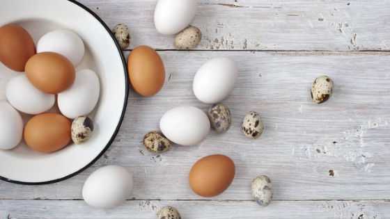 Куриные яйца можно заменить перепелиными