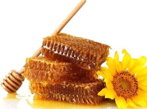 чем полезен мед в сотах