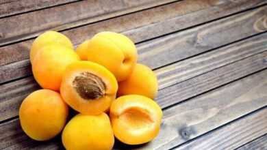 7 богатых железом фруктов для предотвращения анемии