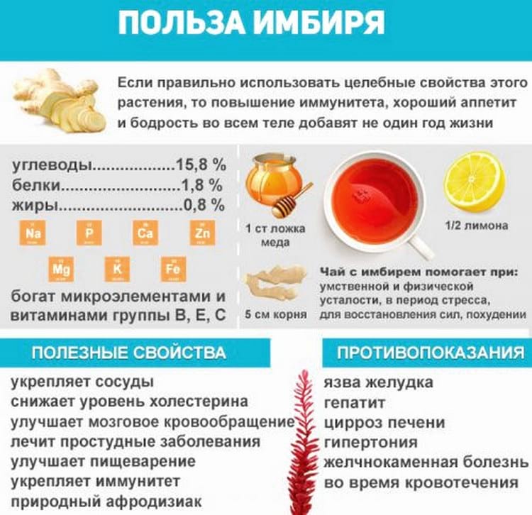 Чеснок, мед, лимон для чистки сосудов: рецепт, показания и противопоказания